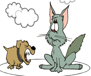 Cats And Dogs Coloring
